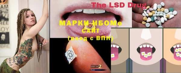 мяу мяу мука Алзамай